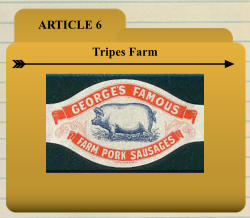 ARTICLE 6 Tripes Farm