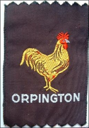 Orpington Scout Movement Badge