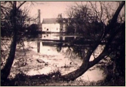 1910c - Orpington Colgate Mill