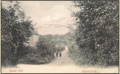 1906 - Orpington - Broom Hill