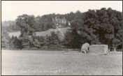 1910c - Farnborough - A view from Farnborough Field