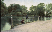 1910c - Orpington - Priory Pond