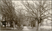 1920c - Orpington - Goddington Park