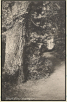 1921 - Orpington - Blind Alley