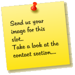 Send us your image for this slot.. Take a look at the contact section....