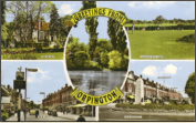 1950c - Orpington - High Street - Postcard B