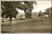 1950c - Orpington - Orpington Common