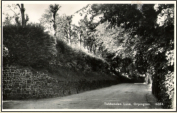 1950c - Orpington - Tubbenden Lane