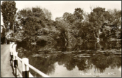 1956 - Orpington - Priory Pond