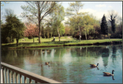 1970c - Orpington - Priory Pond