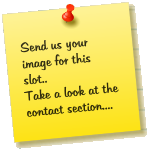 Send us your image for this slot.. Take a look at the contact section....