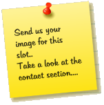 Send us your image for this slot.. Take a look at the contact section....