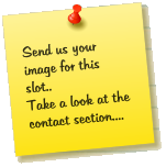 Send us your image for this slot.. Take a look at the contact section....