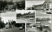 1980 - Locksbottom - General Postcard