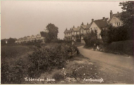 1910c - Tubbenden Lane