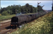 1950c - Railway - Golden Arrow